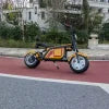 Customized High Performance Electric Scooter