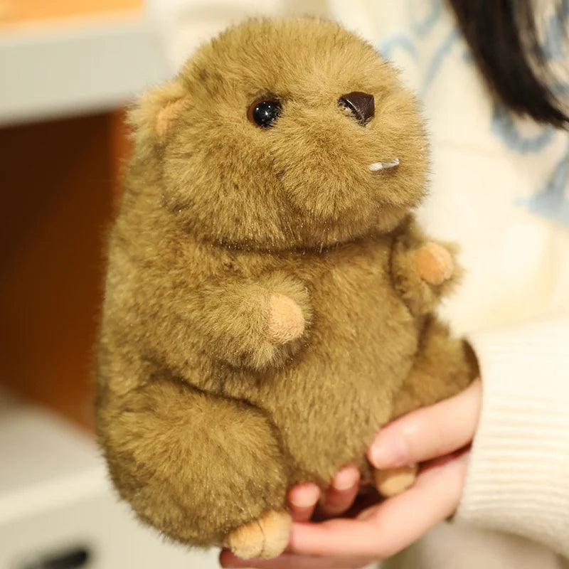 Plush Stuffed Groundhog
