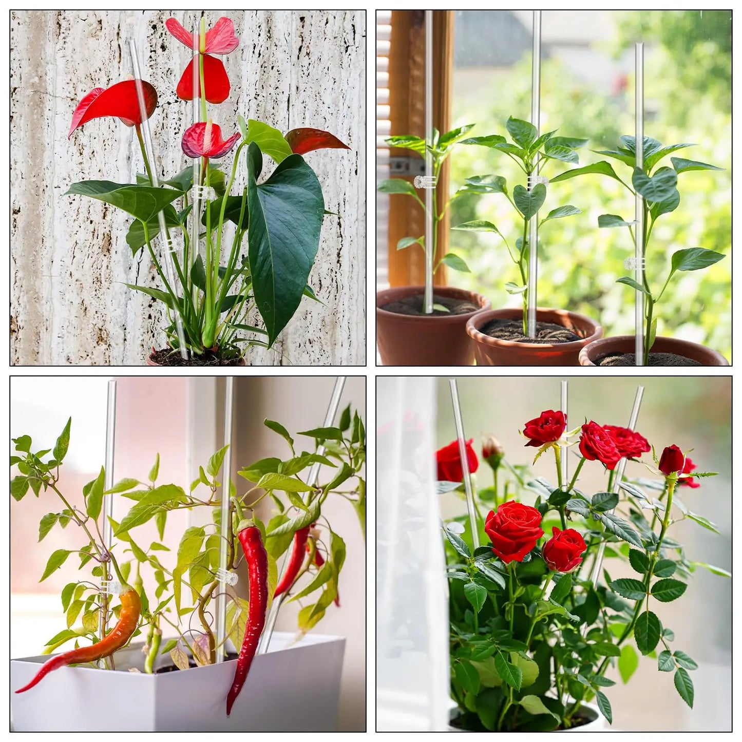 Acrylic Plant Support Sticks