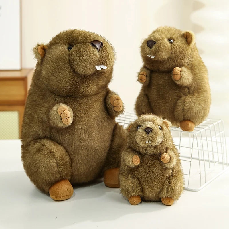 Plush Stuffed Groundhog