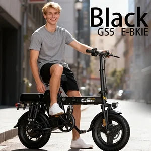 Long-range Electric-assisted Bicycle, 500W Brushless Motor, 48V10AH/15AH Portable Lithium Battery,