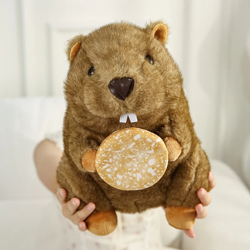 Plush Stuffed Groundhog
