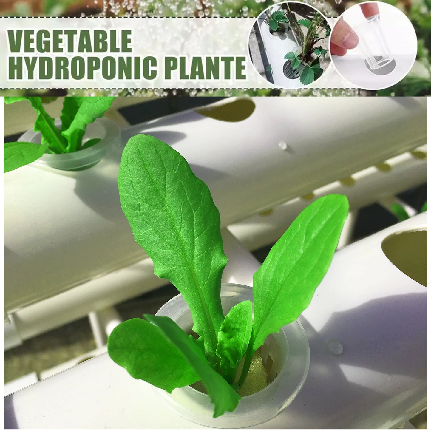 Hydroponic Garden Vegetables and Herbs PVC-Pipe Cultivation Equipment
