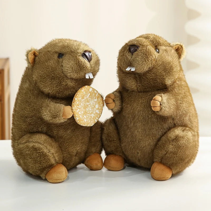 Plush Stuffed Groundhog