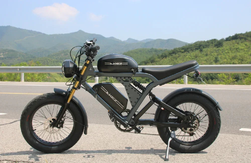 Powerful 1500W Motor 52V55Ah Dual Battery Adult Off-Road Tires Long Range E-bike