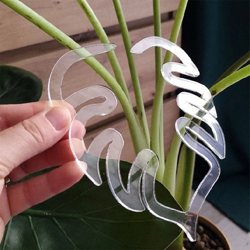 Monstera Shaped Plant Supports