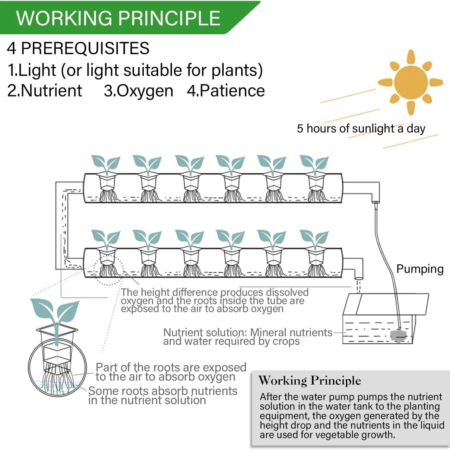 Hydroponic Garden Vegetables and Herbs PVC-Pipe Cultivation Equipment