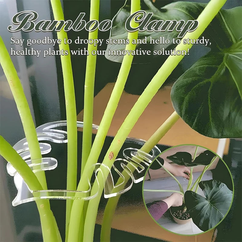 Monstera Shaped Plant Supports