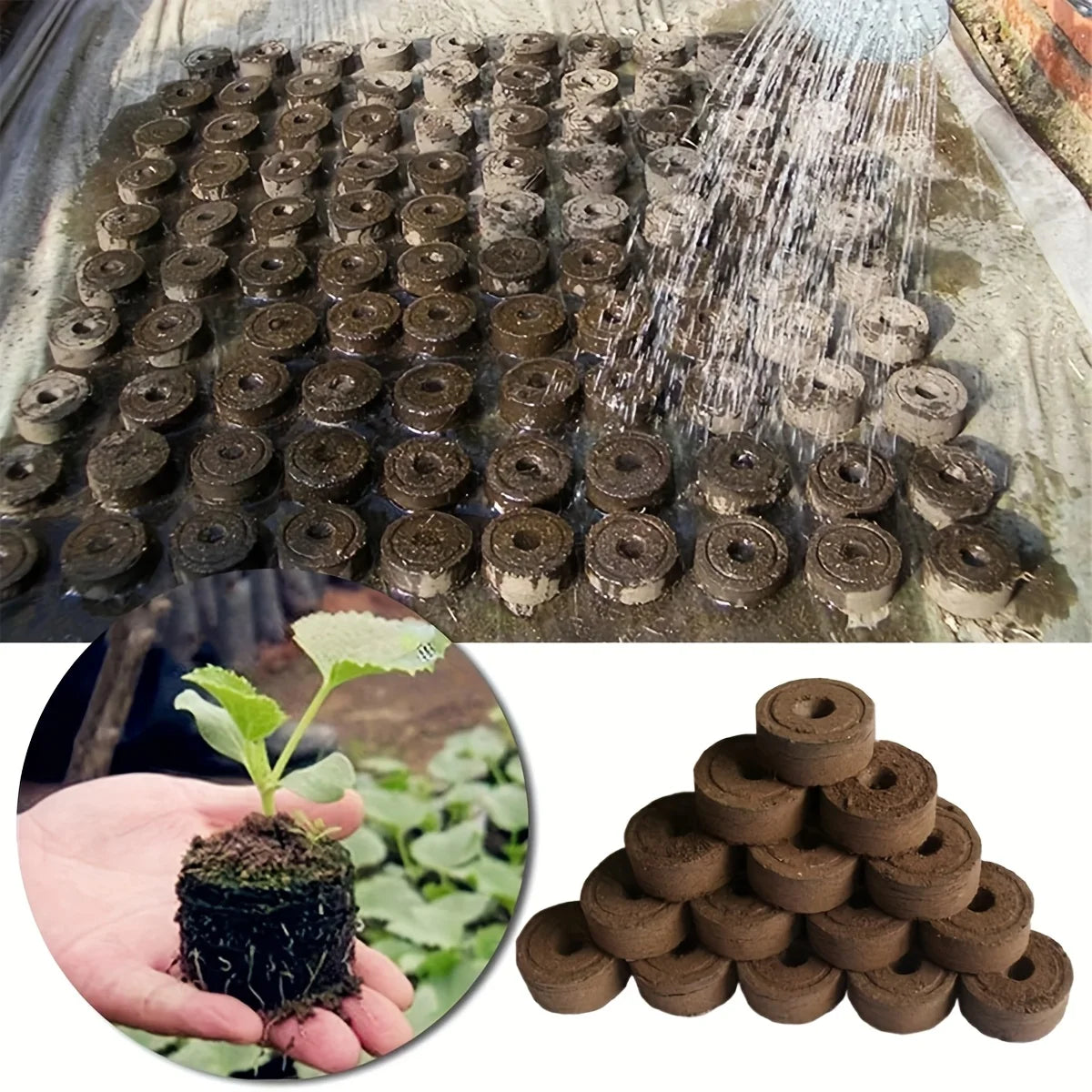 10PCS/20PCS/50PCS planting seedlings block plant starter pellets soil cubes compressed soil pellets media cubes starting pods pl