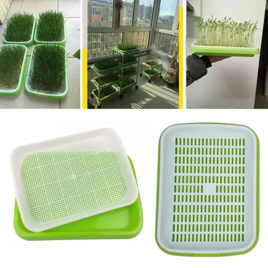 Seed Sprouting Tray "Double-layer, Soilless"