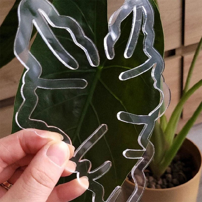 Monstera Shaped Plant Supports