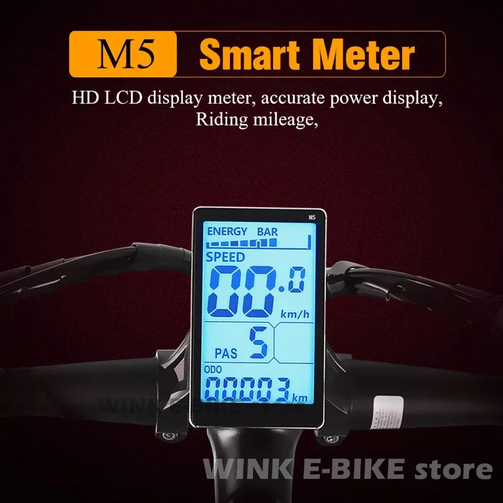Adult 2000W Dual Motor 26 inch tire All terrain Hydraulic brake multi-function E-bike