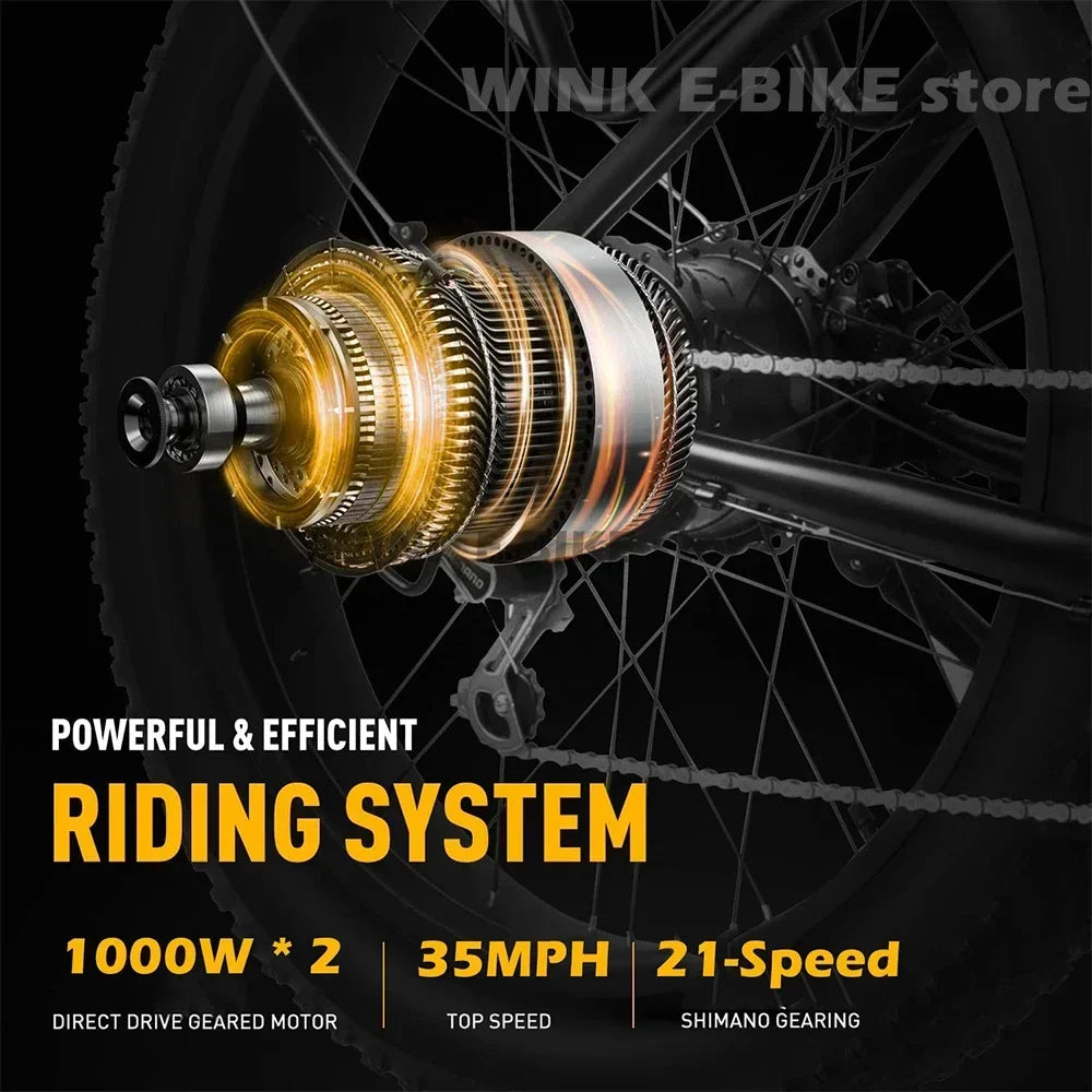 Adult 2000W Dual Motor 26 inch tire All terrain Hydraulic brake multi-function E-bike