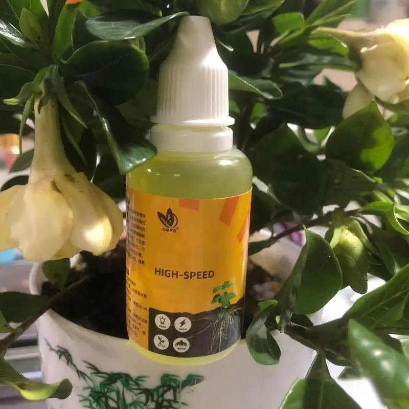 50ML Plant Nutrient Solution Gardening flower, seedlings, transplant support.