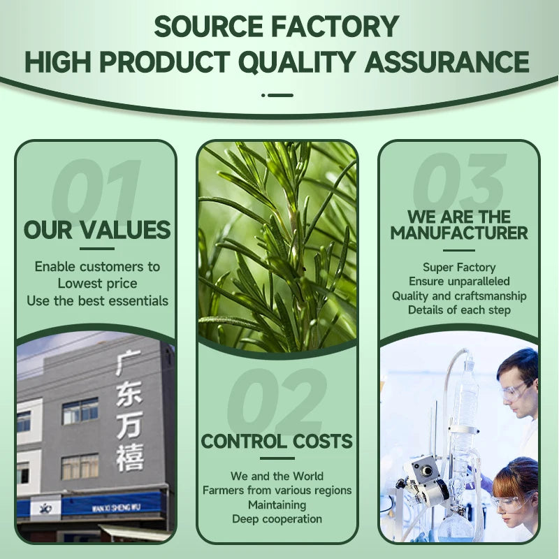 Versatile Nature Dried Flower Oil 60ml Rosemary Essential Oil Skin Care Relaxation Home Add to Diffuser Spary DIY Candle Soap