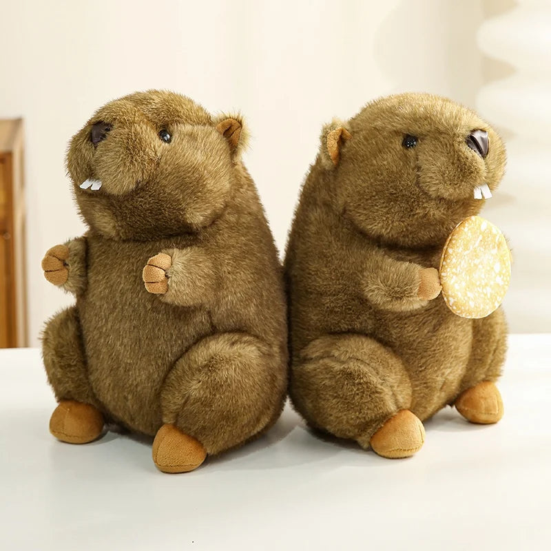 Plush Stuffed Groundhog