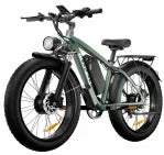 Adult 2000W Dual Motor 26 inch tire All terrain Hydraulic brake multi-function E-bike