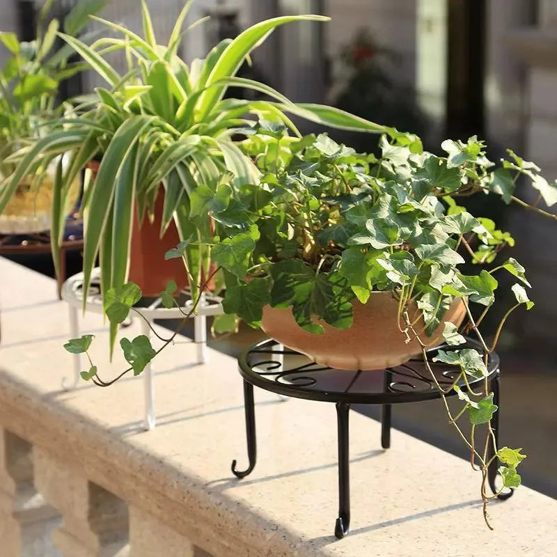 Wrought Iron Plant Stand