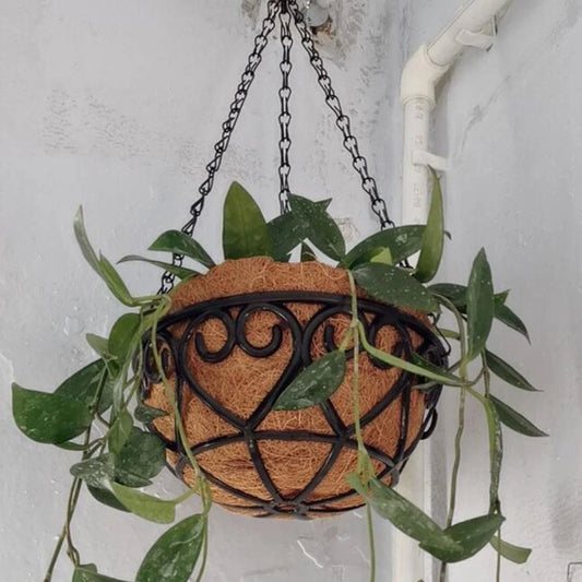Coconut Brown Round Iron Chain Hanging Basket Flowerpot Holder