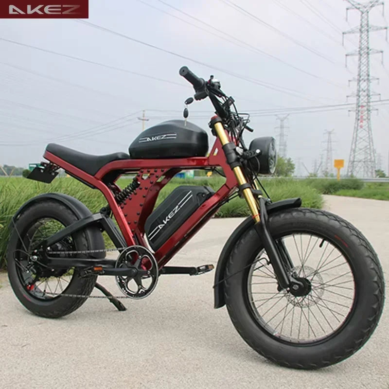 Powerful 1500W Motor 52V55Ah Dual Battery Adult Off-Road Tires Long Range E-bike